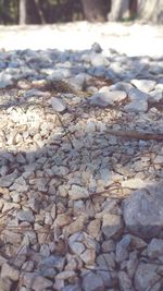 Close-up of pebbles