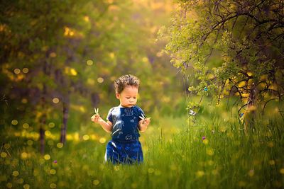 Cute baby boy girl standing on field during autumn