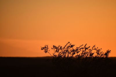 Silhouette tree on landscape against orange sky