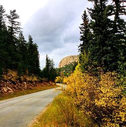 Road amidst trees against sky