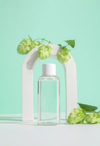 Cosmetic bottle with tonic water with fresh hop cones on green background.