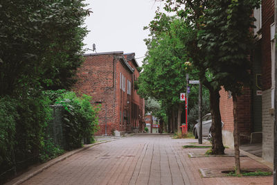 Walkway amidst trees against sky