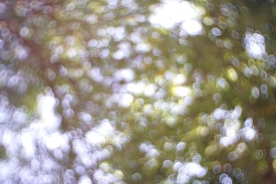 Defocused image of sunlight