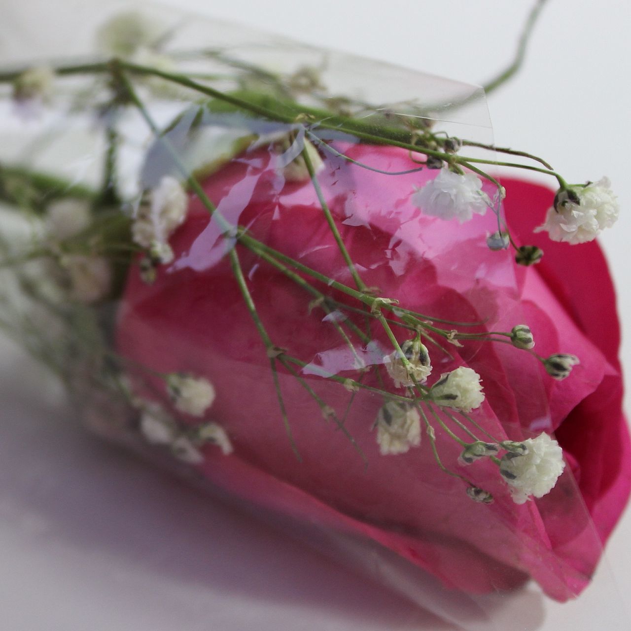 flower, close-up, freshness, pink color, fragility, focus on foreground, indoors, red, leaf, petal, selective focus, nature, beauty in nature, plant, growth, rose - flower, stem, no people, table, still life