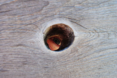 Close-up of human eye