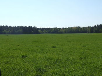 Scenic view of landscape against clear sky