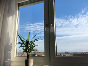 Potted plant against sky seen through window