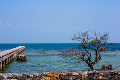 Scenic view of sea against clear sky