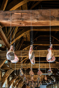 Low angle view of birds hanging on ceiling