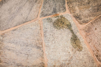 Full frame shot of tiled floor