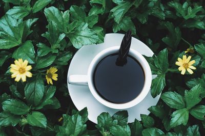 High angle view of coffee and flowers