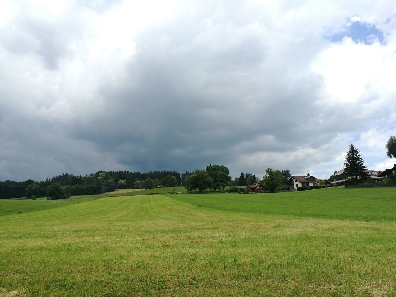 SCENIC VIEW OF GREEN LANDSCAPE AGAINST SKY