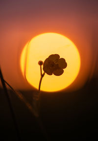 Close-up of illuminated lantern against sky during sunset