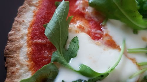 Close-up of food served in plate