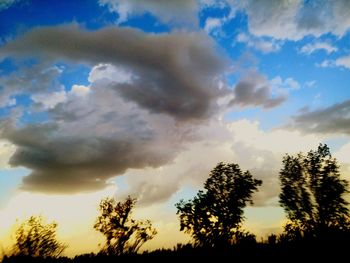 Low angle view of trees against sky