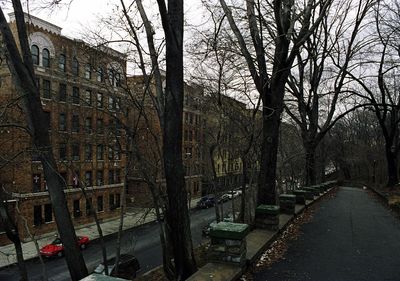 View of bare trees against sky