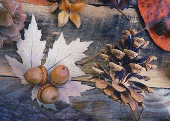 Close-up of dry maple leaves on table