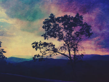 Silhouette tree against dramatic sky