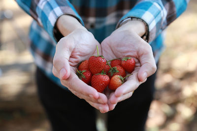 Midsection of man holding strawberries