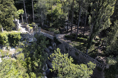 Scenic view of waterfall in forest. artigas garden