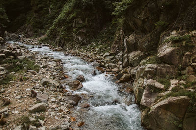 Stream flowing through rocks in forest