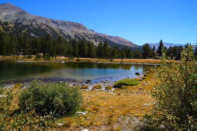 Scenic view of lake against clear blue sky