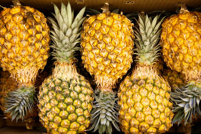 Close-up of pineapples in market