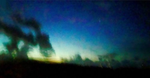 Low angle view of trees against sky at night