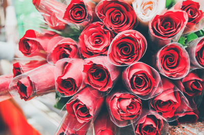 Close-up of red roses