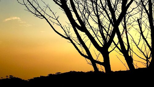 Silhouette tree against sky during sunset