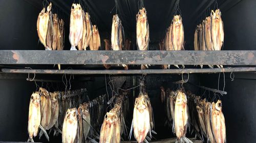 Fish food drying