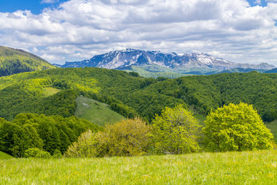 Scenic view of green landscape and mountains against sky