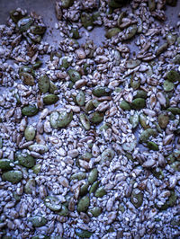 Full frame shot of ice cream in water