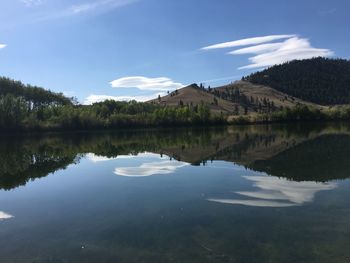 Reflection of trees in calm lake