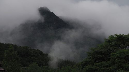 Scenic view of trees against sky during foggy weather