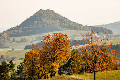 Trees on landscape against sky during autumn