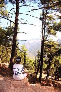 View of trees and mountains