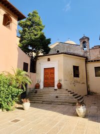 Potted plants outside building