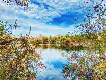 Reflection of trees in lake against sky