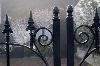 Close-up of metal fence