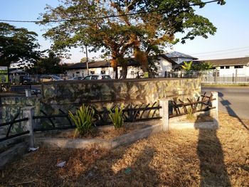 Trees and houses against sky in city