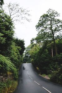 Road amidst trees against clear sky