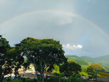 rainbow