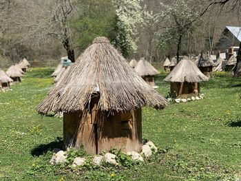 Panoramic view of houses on field by trees