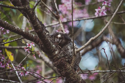 Low angle view of bird perching on branch