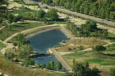 High angle view of trees and buildings in city