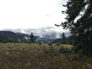 Scenic view of field and mountains against sky