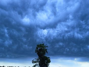 Low angle view of tree against cloudy sky