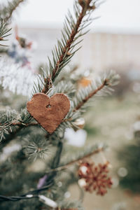 Handmade gingerbread heart shaped cookie decoration on a christmas tree, outdoor background