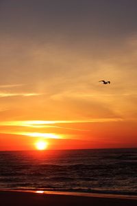 Silhouette bird flying over sea against orange sky